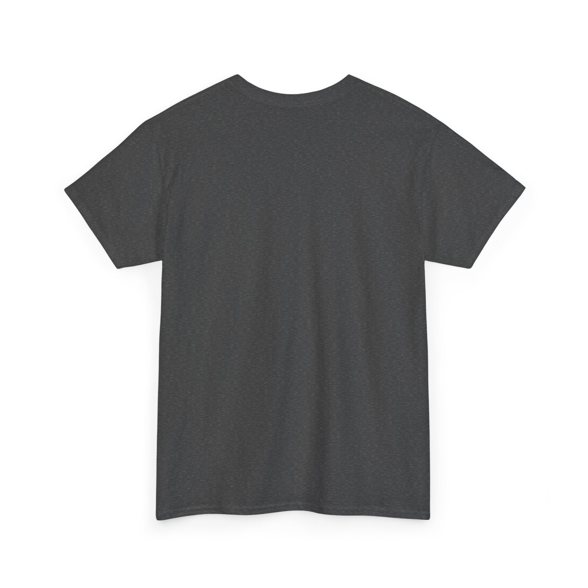 Mr.Mister Tee