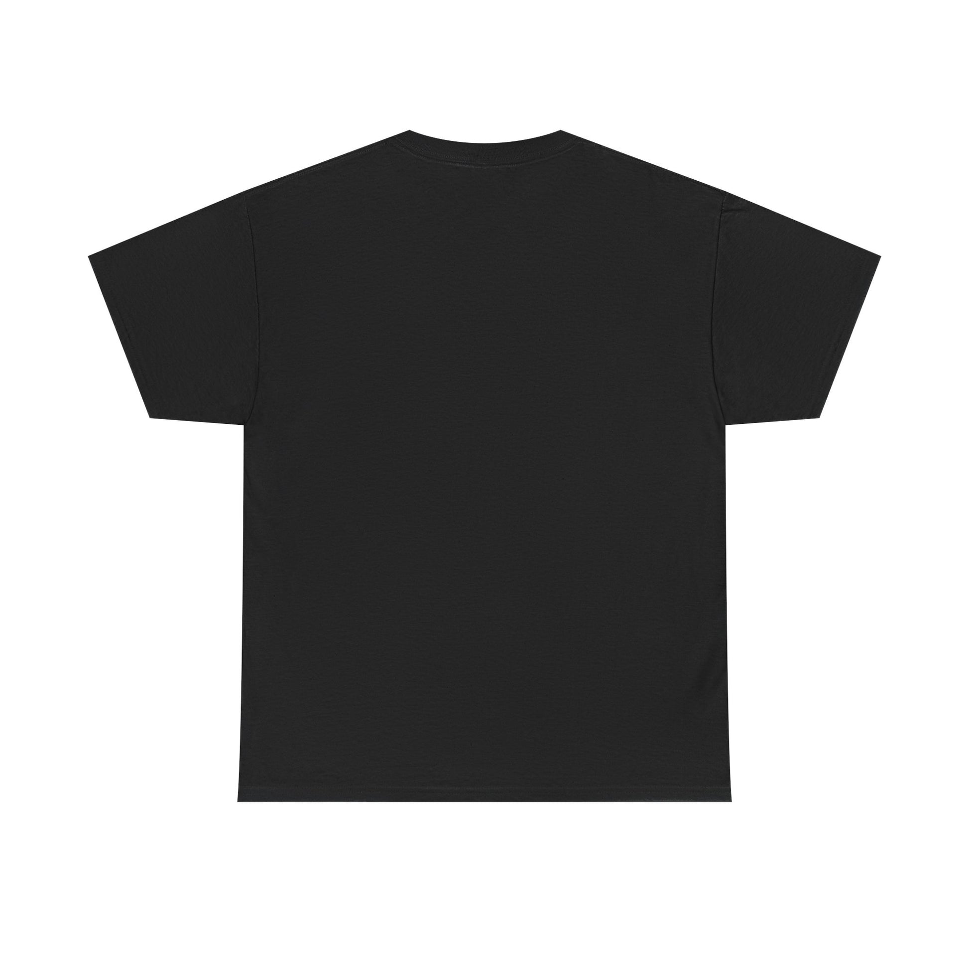 Mr.Mister Tee