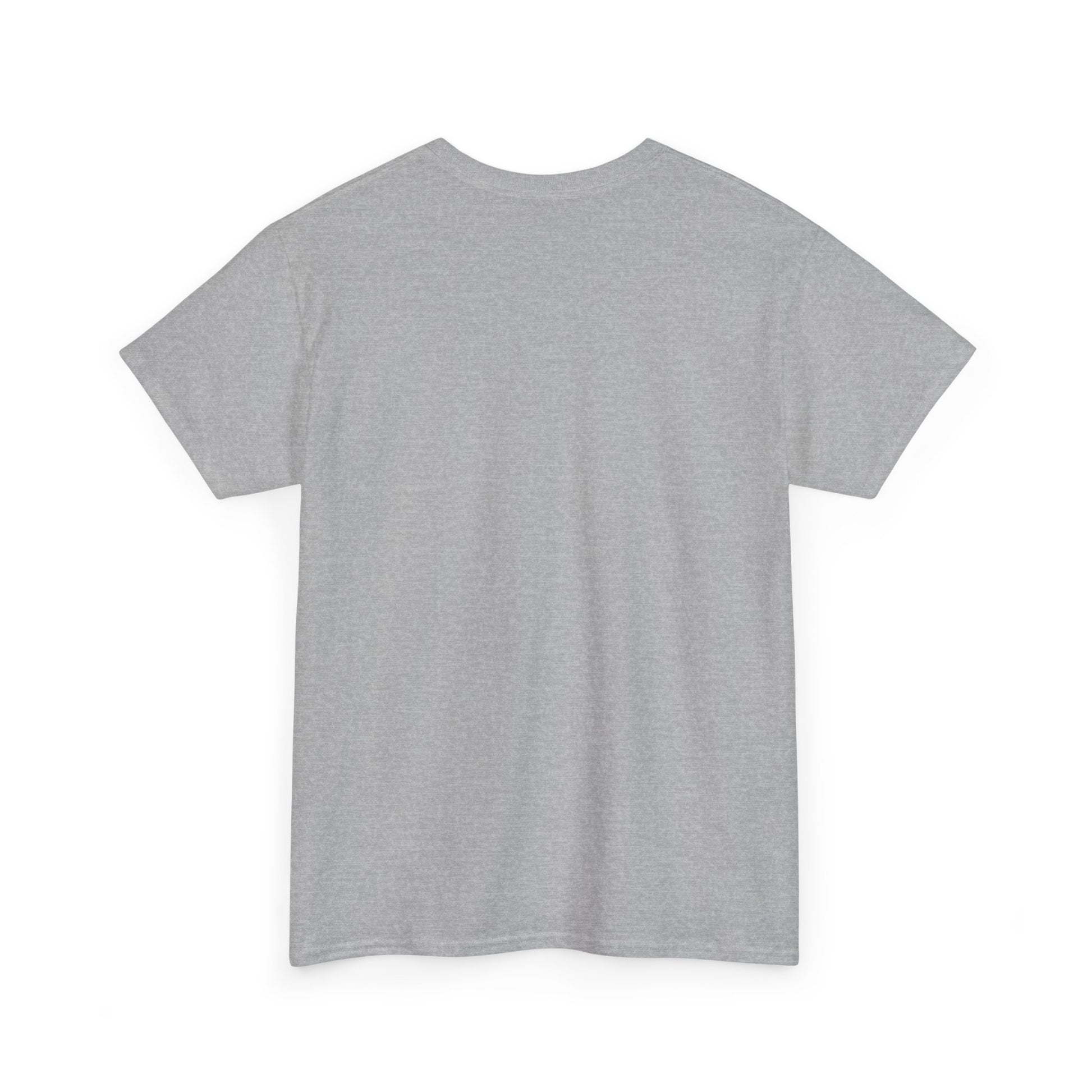 Mr.Mister Tee