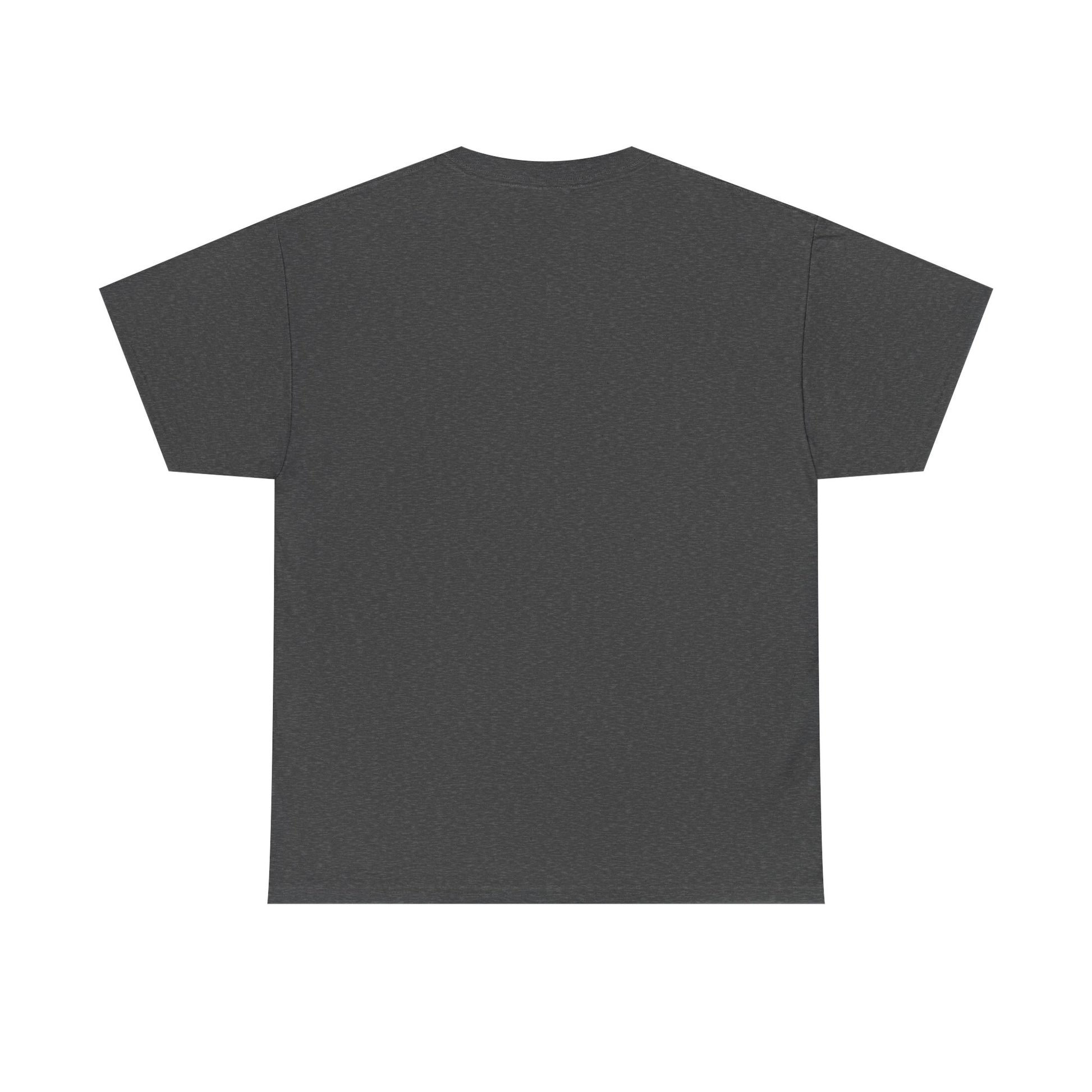 Mr.Mister Tee