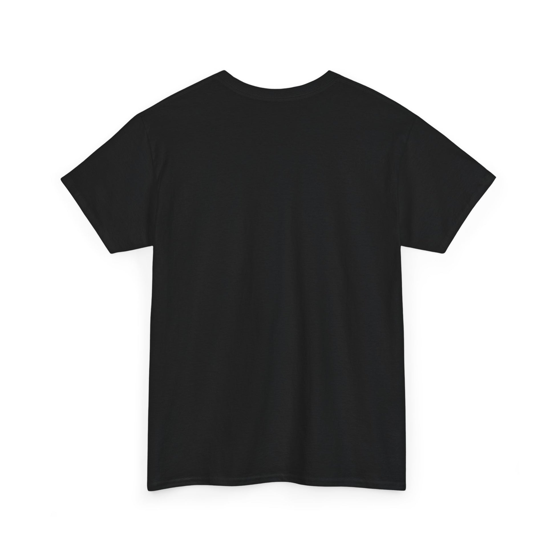 Mr.Mister Tee