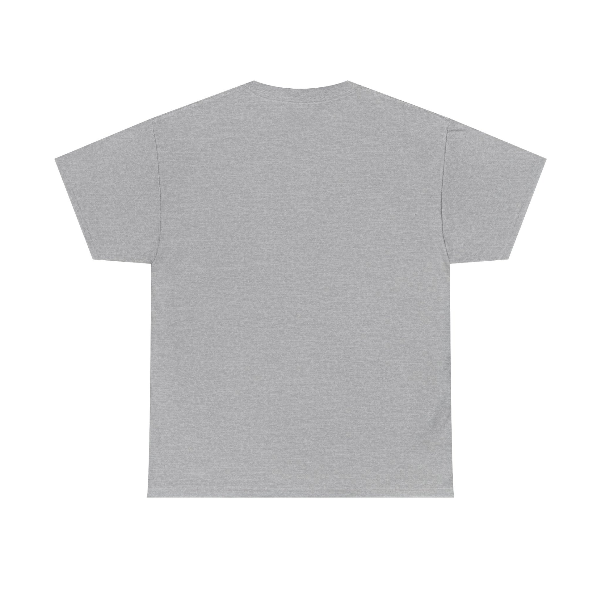 Mr.Mister Tee
