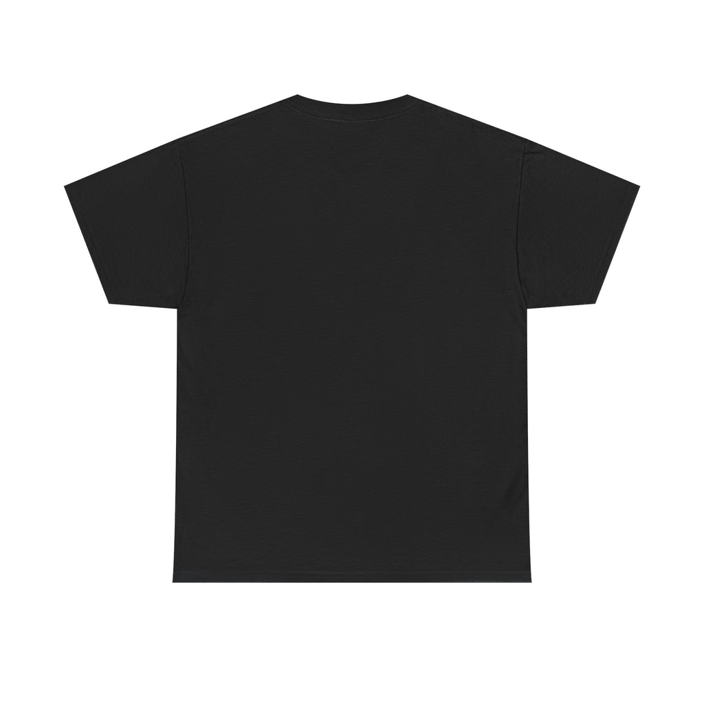Mr.Mister Tee