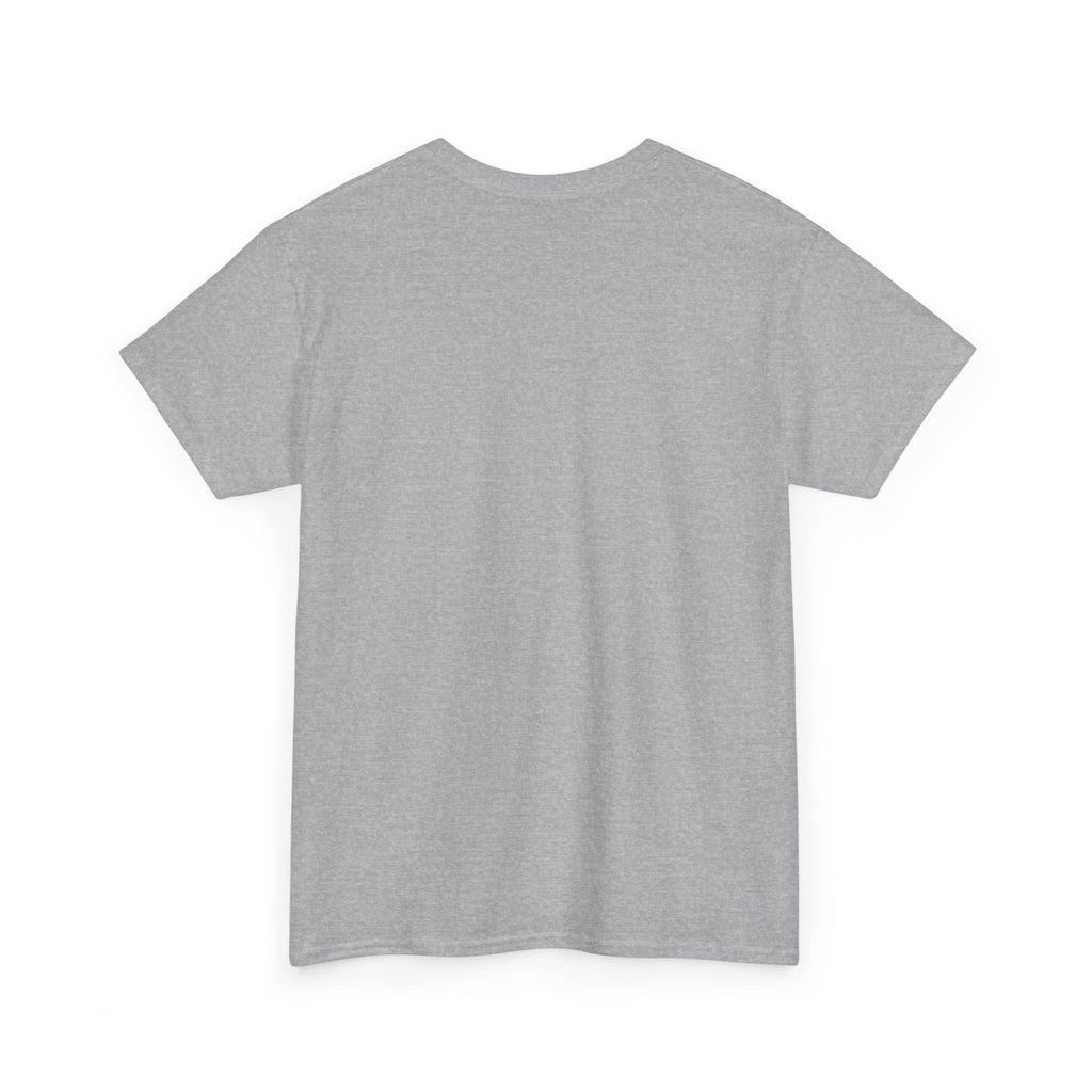 Mr.Mister Tee